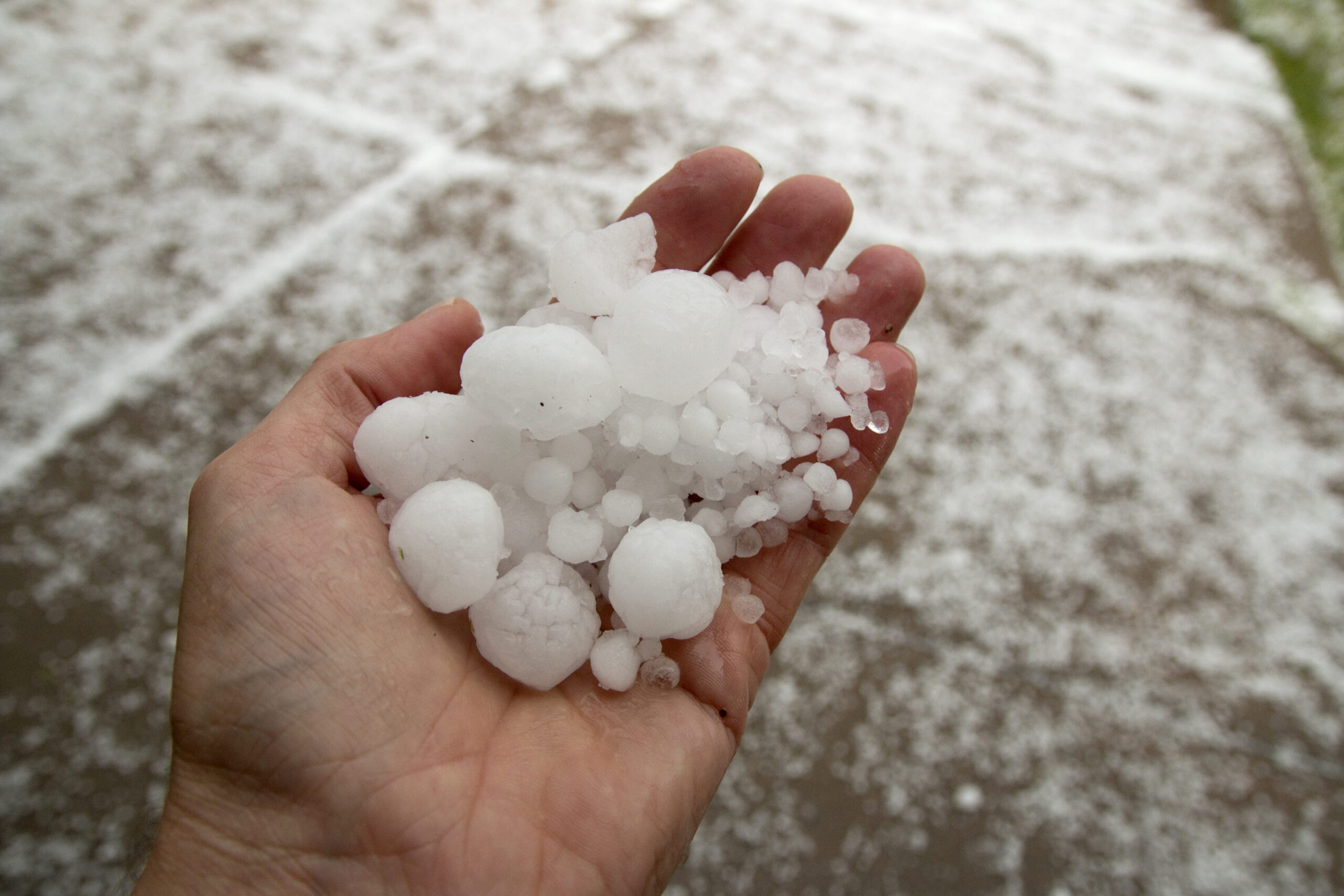 What Should I Do If My Roof Has Storm Damage?